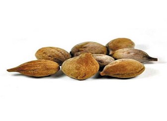 خواص بلیله