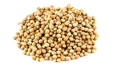 خواص تخم گشنیز
