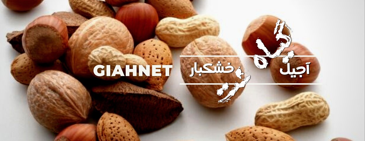 خشکبار